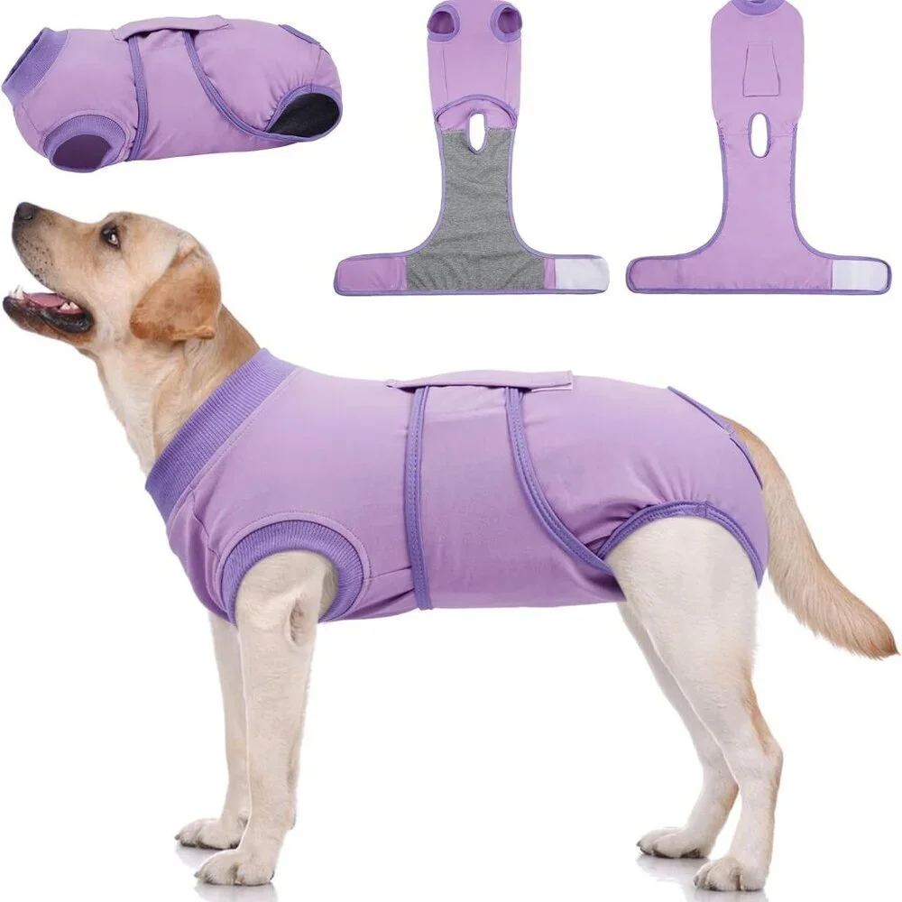 Dog Surgery Suit Female Spay, Puppy Recovery Suit Male Neuter